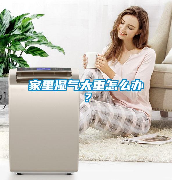 家里濕氣太重怎么辦？