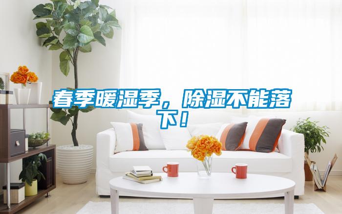 春季暖濕季，除濕不能落下！
