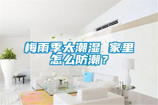 梅雨季太潮濕 家里怎么防潮？