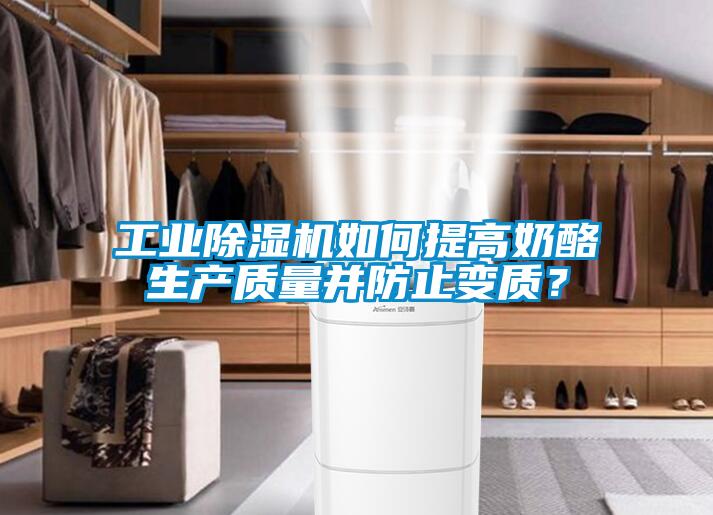 工業(yè)除濕機(jī)如何提高奶酪生產(chǎn)質(zhì)量并防止變質(zhì)？