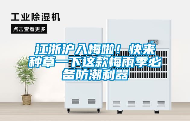 江浙滬入梅啦！快來(lái)種草一下這款梅雨季必備防潮利器