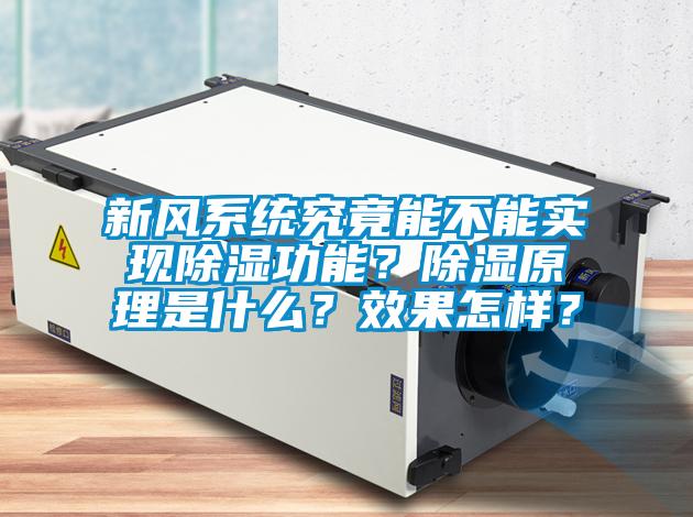 新風系統(tǒng)究竟能不能實現(xiàn)除濕功能？除濕原理是什么？效果怎樣？