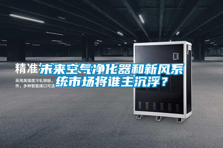 未來空氣凈化器和新風系統(tǒng)市場將誰主沉??？