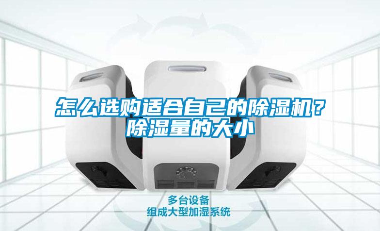 怎么選購(gòu)適合自己的除濕機(jī)？除濕量的大小