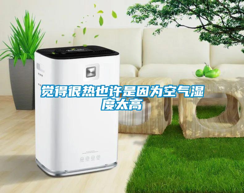 覺得很熱也許是因?yàn)榭諝鉂穸忍?/></p>
						    <p style=