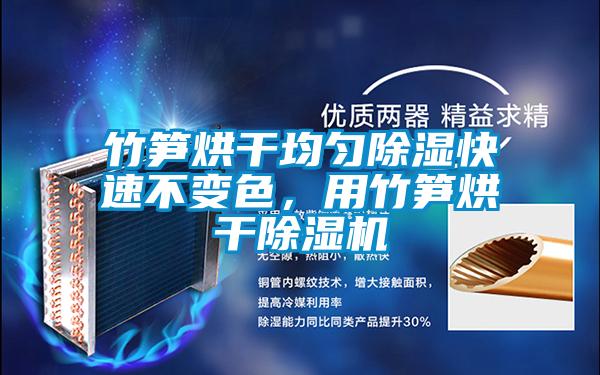 竹筍烘干均勻除濕快速不變色，用竹筍烘干除濕機