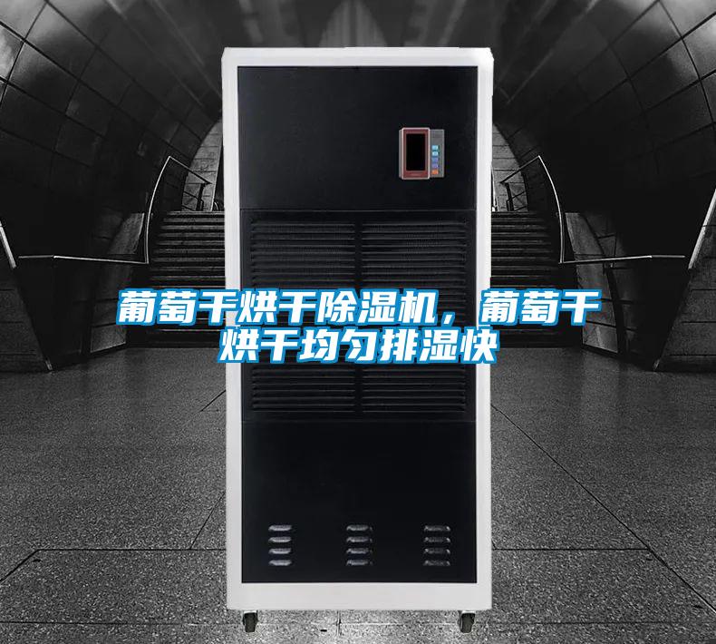 葡萄干烘干除濕機，葡萄干烘干均勻排濕快