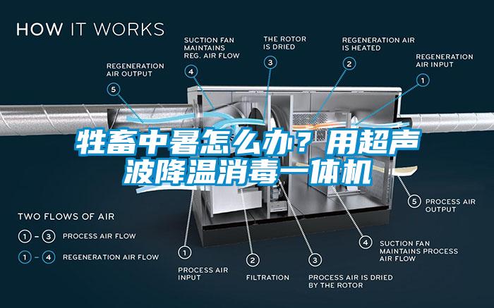 牲畜中暑怎么辦？用超聲波降溫消毒一體機(jī)