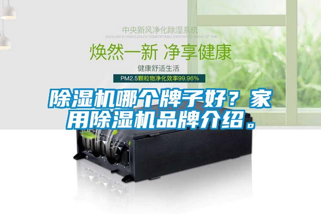 除濕機(jī)哪個(gè)牌子好？家用除濕機(jī)品牌介紹。