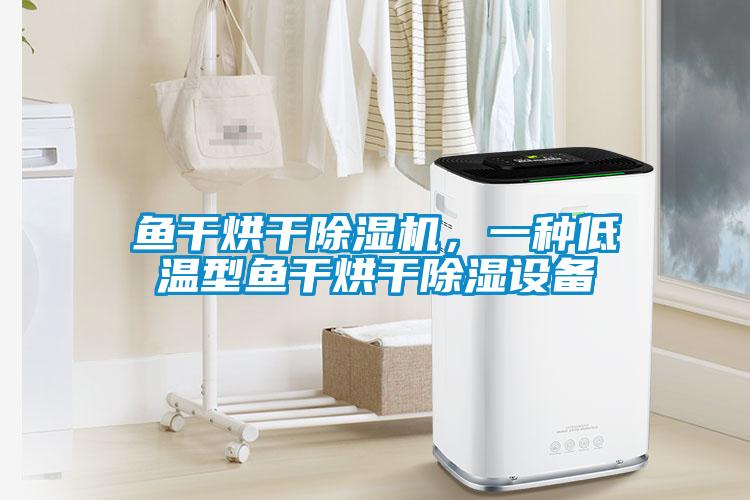 魚干烘干除濕機，一種低溫型魚干烘干除濕設備