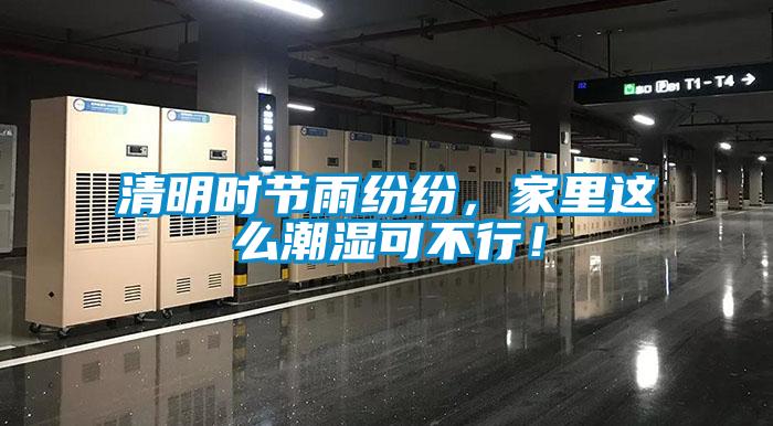 清明時(shí)節(jié)雨紛紛，家里這么潮濕可不行！