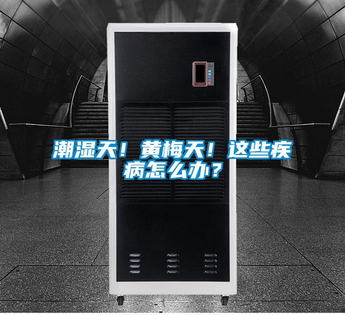潮濕天！黃梅天！這些疾病怎么辦？