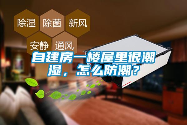 自建房一樓屋里很潮濕，怎么防潮？