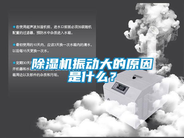 除濕機(jī)振動(dòng)大的原因是什么？