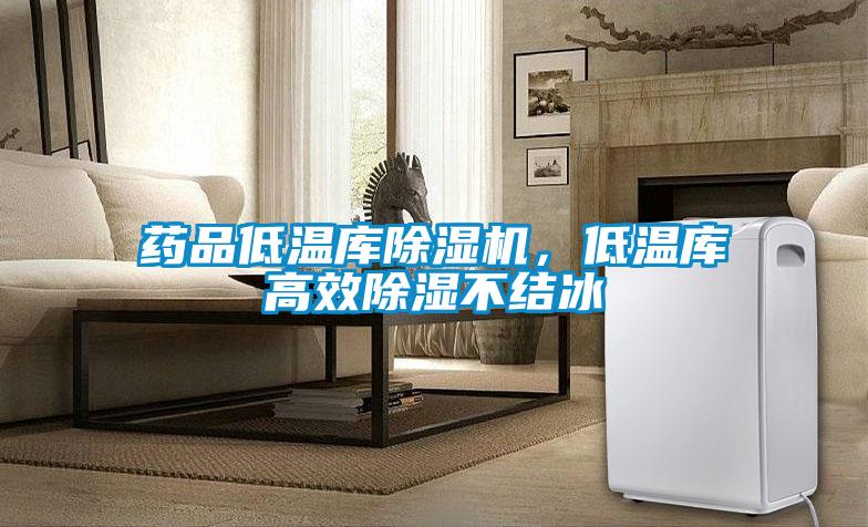 藥品低溫庫(kù)除濕機(jī)，低溫庫(kù)高效除濕不結(jié)冰