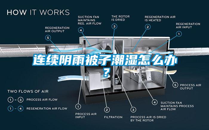 連續(xù)陰雨被子潮濕怎么辦？