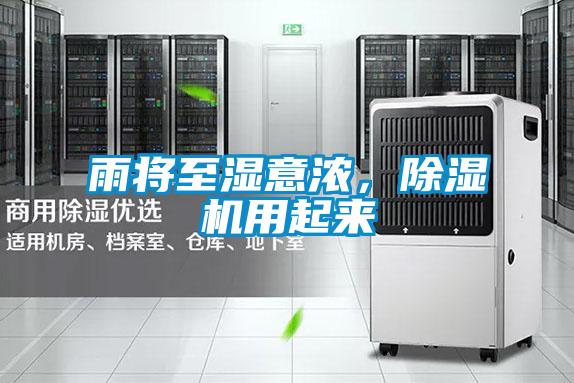 雨將至濕意濃，除濕機用起來