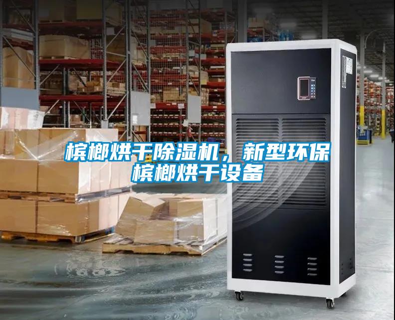 檳榔烘干除濕機(jī)，新型環(huán)保檳榔烘干設(shè)備
