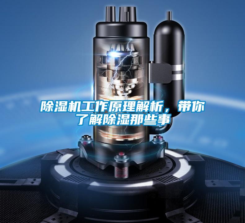 除濕機工作原理解析，帶你了解除濕那些事