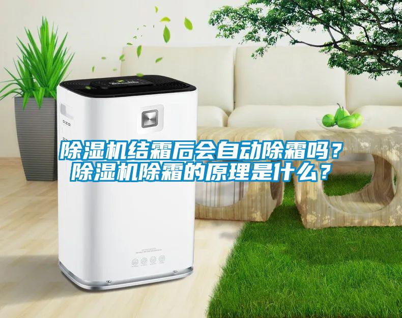 除濕機(jī)結(jié)霜后會(huì)自動(dòng)除霜嗎？除濕機(jī)除霜的原理是什么？