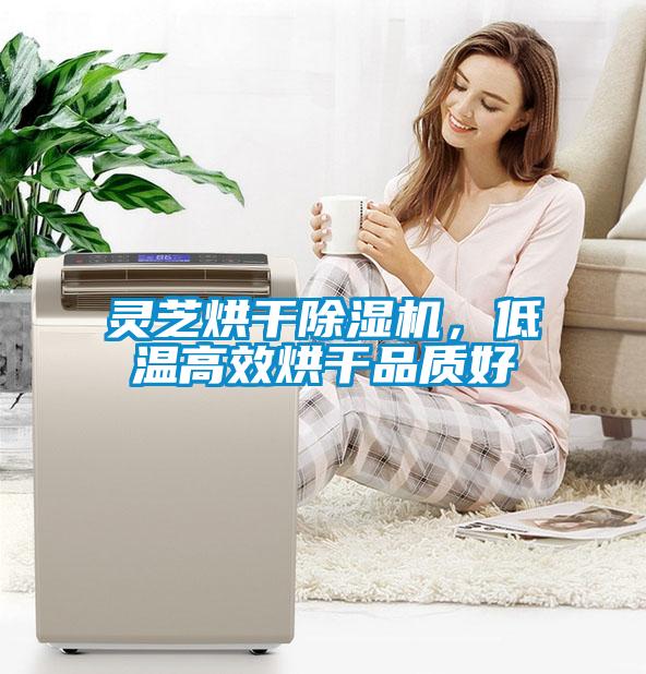 靈芝烘干除濕機(jī)，低溫高效烘干品質(zhì)好