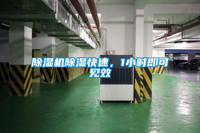 除濕機(jī)除濕快速，1小時(shí)即可見效