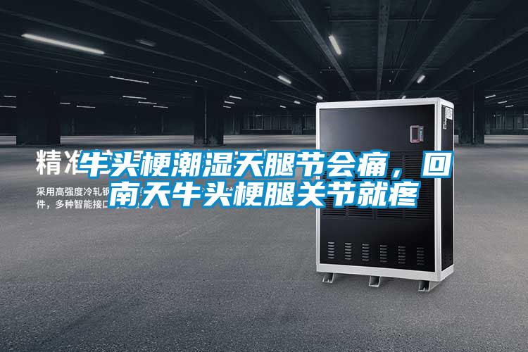 牛頭梗潮濕天腿節(jié)會痛，回南天牛頭梗腿關(guān)節(jié)就疼