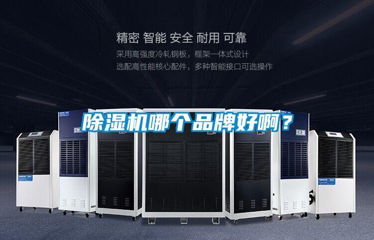 除濕機(jī)哪個(gè)品牌好??？