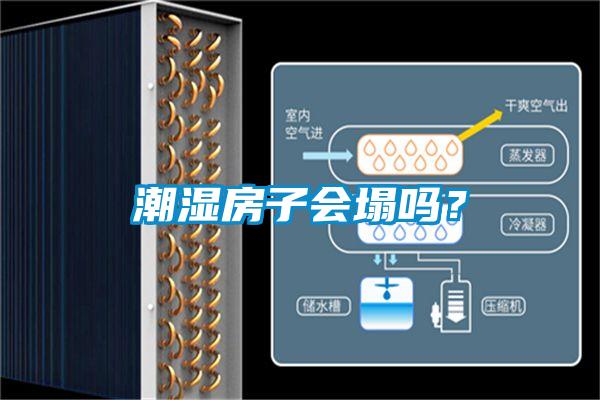 潮濕房子會塌嗎？