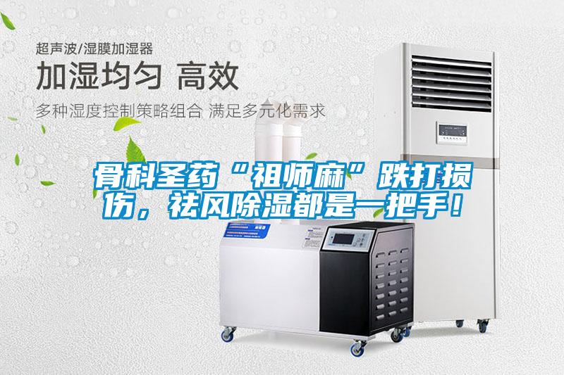 骨科圣藥“祖師麻”跌打損傷，祛風(fēng)除濕都是一把手！