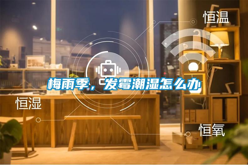 梅雨季，發(fā)霉潮濕怎么辦