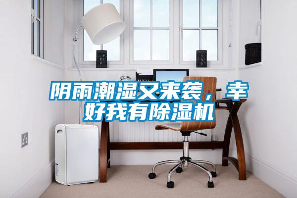 陰雨潮濕又來襲，幸好我有除濕機(jī)