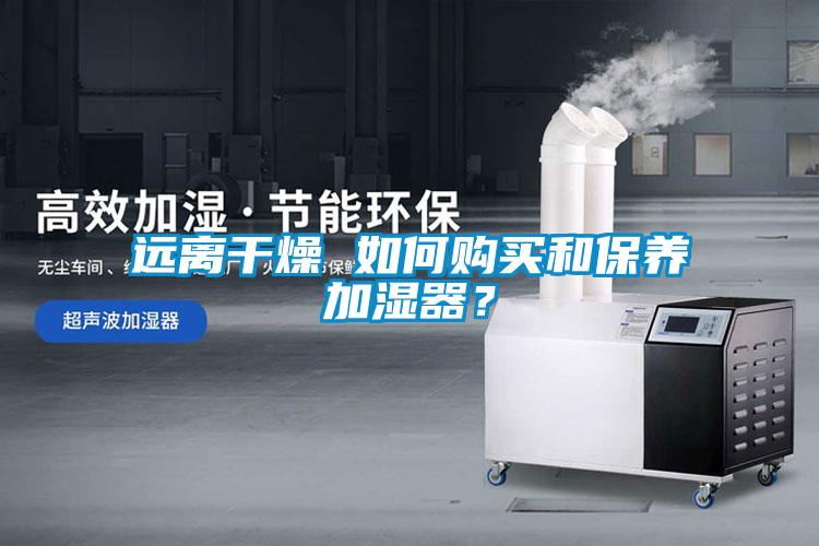 遠離干燥 如何購買和保養(yǎng)加濕器？