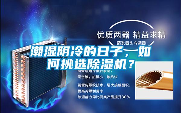 潮濕陰冷的日子，如何挑選除濕機？