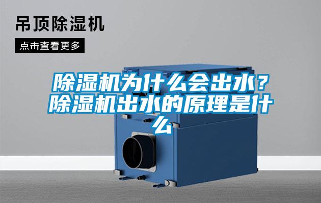 除濕機(jī)為什么會(huì)出水？除濕機(jī)出水的原理是什么