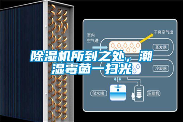 除濕機所到之處，潮濕霉菌一掃光