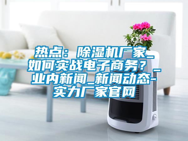 熱點：除濕機廠家_如何實戰(zhàn)電子商務(wù)？_業(yè)內(nèi)新聞_新聞動態(tài)-實力廠家官網(wǎng)