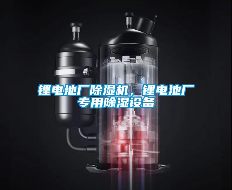 鋰電池廠除濕機(jī)，鋰電池廠專用除濕設(shè)備
