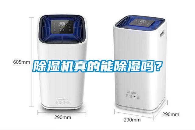 除濕機(jī)真的能除濕嗎？