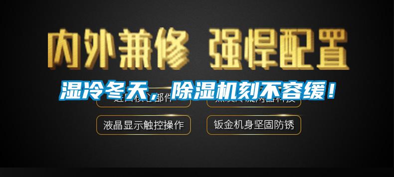 濕冷冬天，除濕機刻不容緩！