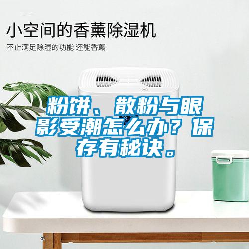 粉餅、散粉與眼影受潮怎么辦？保存有秘訣。