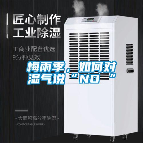 梅雨季，如何對(duì)濕氣說(shuō)“NO ”