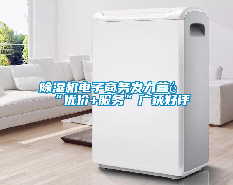 除濕機(jī)電子商務(wù)發(fā)力營銷“優(yōu)價(jià)+服務(wù)”廣獲好評(píng)