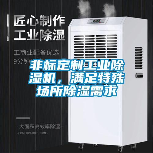 非標(biāo)定制工業(yè)除濕機(jī)，滿足特殊場所除濕需求