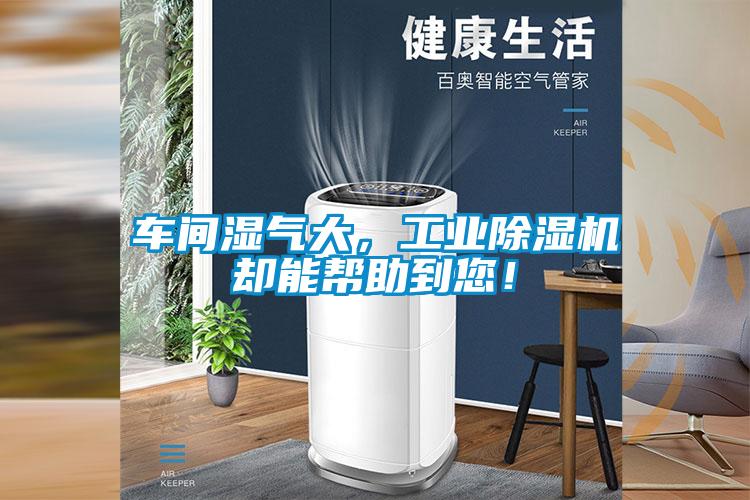 車間濕氣大，工業(yè)除濕機卻能幫助到您！
