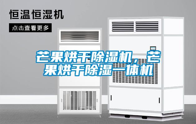 芒果烘干除濕機(jī)，芒果烘干除濕一體機(jī)