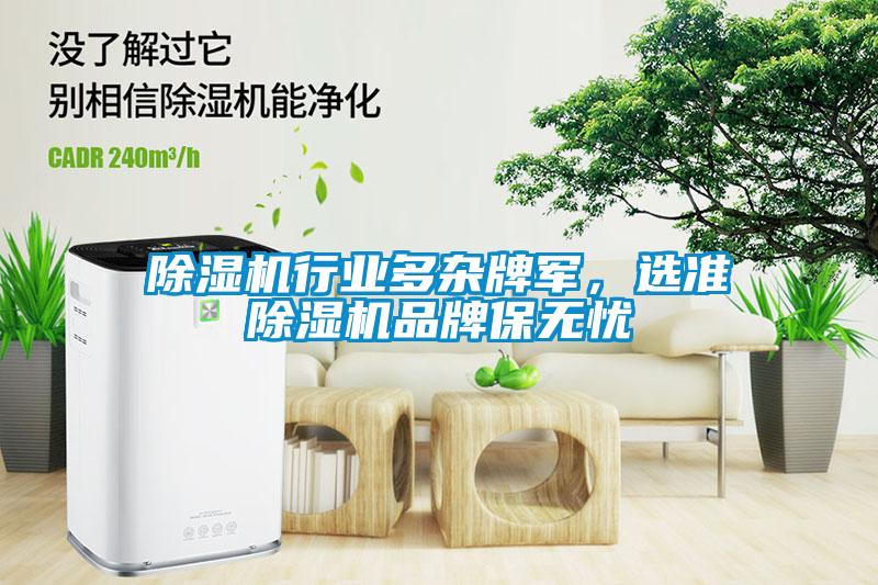 除濕機行業(yè)多雜牌軍，選準除濕機品牌保無憂