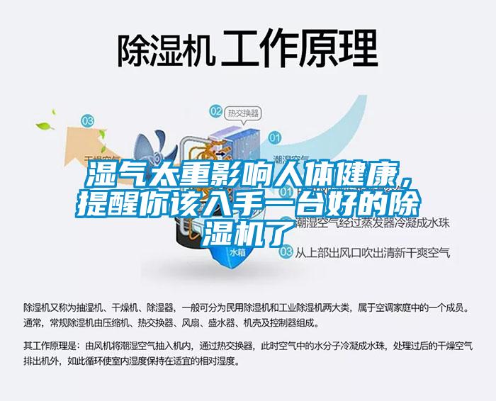 濕氣太重影響人體健康，提醒你該入手一臺好的除濕機(jī)了