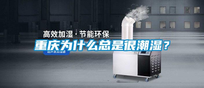重慶為什么總是很潮濕？