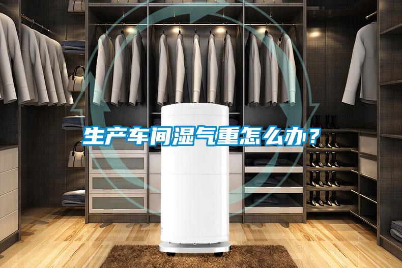 生產(chǎn)車間濕氣重怎么辦？